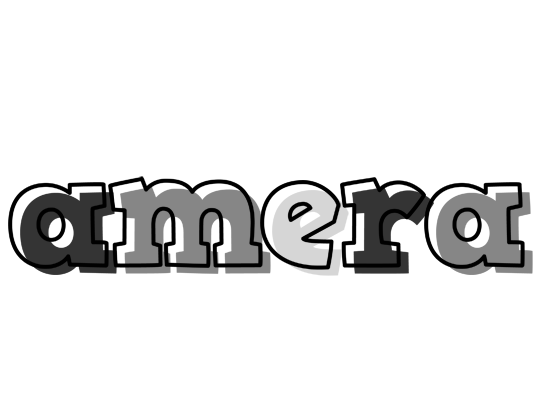 Amera night logo