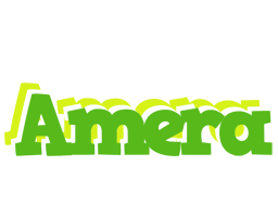 Amera picnic logo