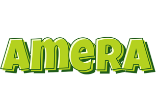 Amera summer logo