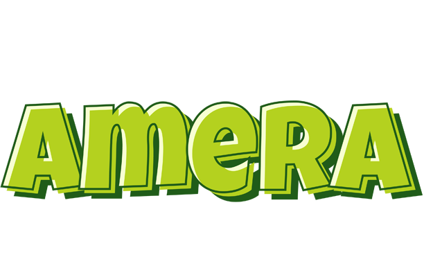 Amera summer logo