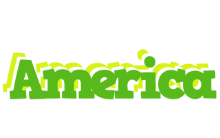 America picnic logo