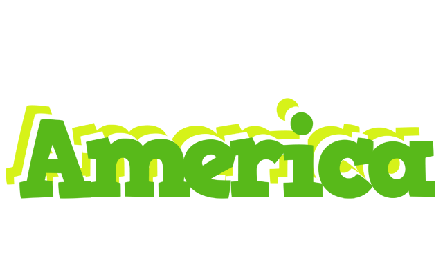 America picnic logo
