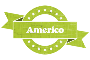 Americo change logo