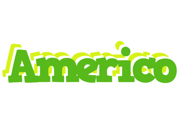 Americo picnic logo