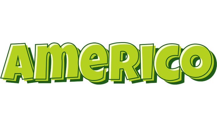 Americo summer logo
