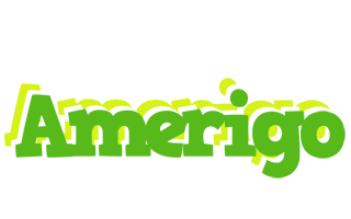 Amerigo picnic logo