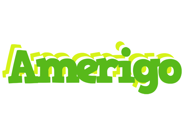 Amerigo picnic logo