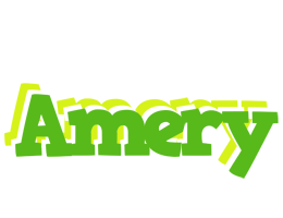 Amery picnic logo