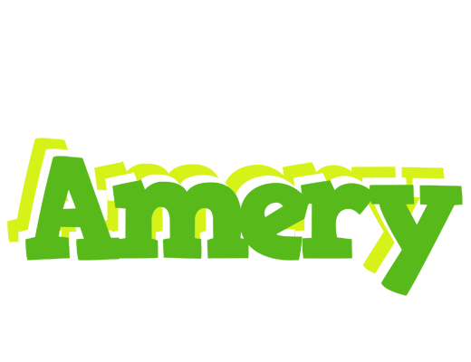 Amery picnic logo