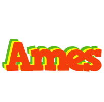 Ames bbq logo