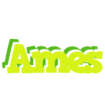 Ames citrus logo