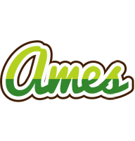 Ames golfing logo