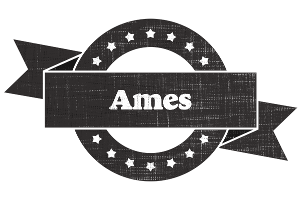 Ames grunge logo