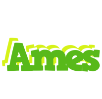 Ames picnic logo