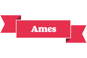 Ames sale logo