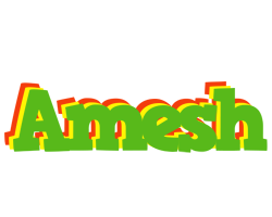 Amesh crocodile logo