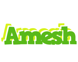 Amesh picnic logo