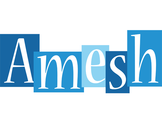 Amesh winter logo