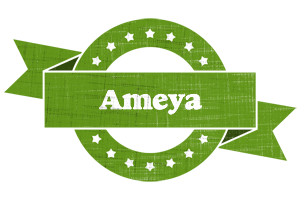 Ameya natural logo