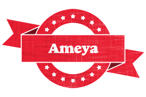 Ameya passion logo