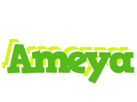 Ameya picnic logo