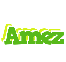 Amez picnic logo