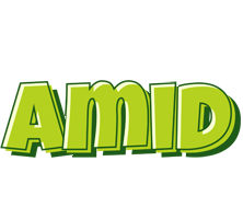 Amid summer logo