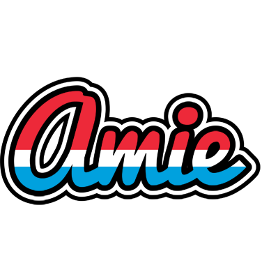 Amie norway logo