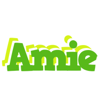 Amie picnic logo