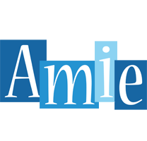 Amie winter logo