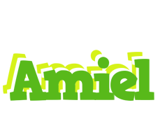 Amiel picnic logo