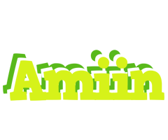 Amiin citrus logo