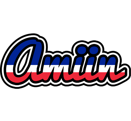 Amiin france logo