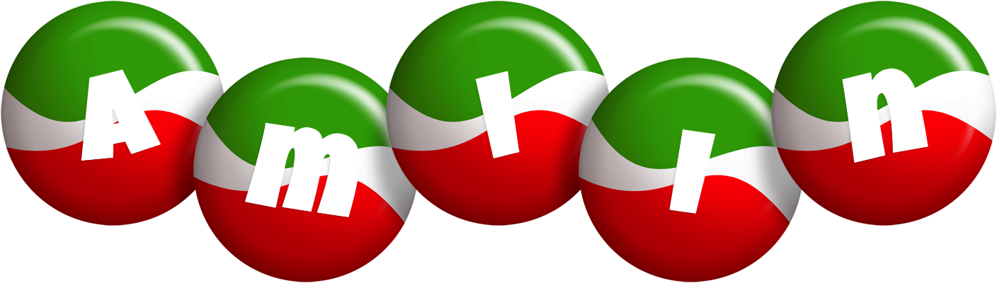 Amiin italy logo