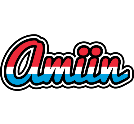 Amiin norway logo