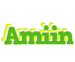 Amiin picnic logo