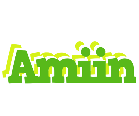 Amiin picnic logo