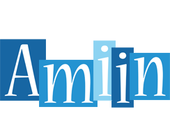 Amiin winter logo