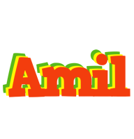 Amil bbq logo