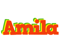 Amila bbq logo