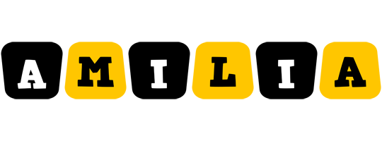 Amilia boots logo