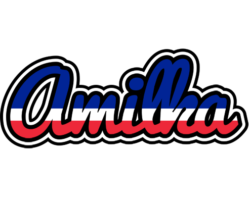 Amilka france logo