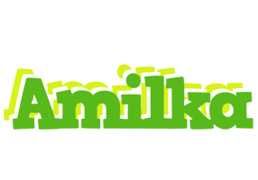 Amilka picnic logo