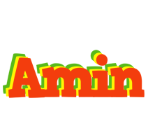 Amin bbq logo