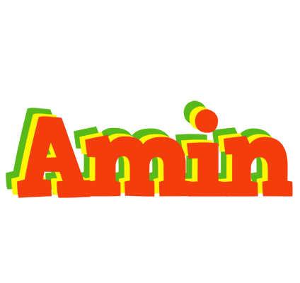 Amin bbq logo