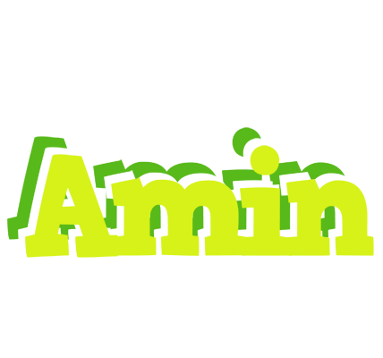 Amin citrus logo