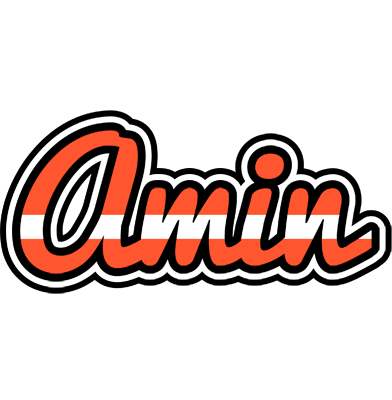 Amin denmark logo