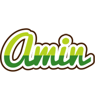 Amin golfing logo