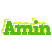 Amin picnic logo