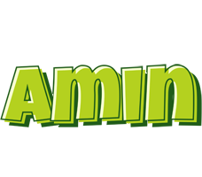 Amin summer logo